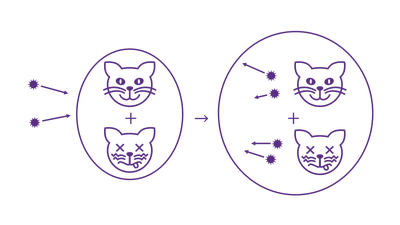 Everettian chance in no uncertain terms featured image