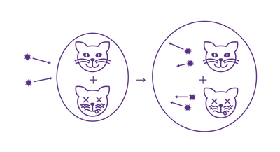 Everettian chance in no uncertain terms featured image